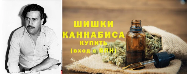 гашик Аркадак