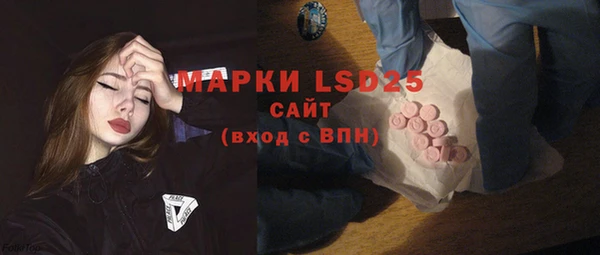 гашик Аркадак