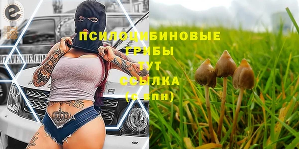 стаф Армянск